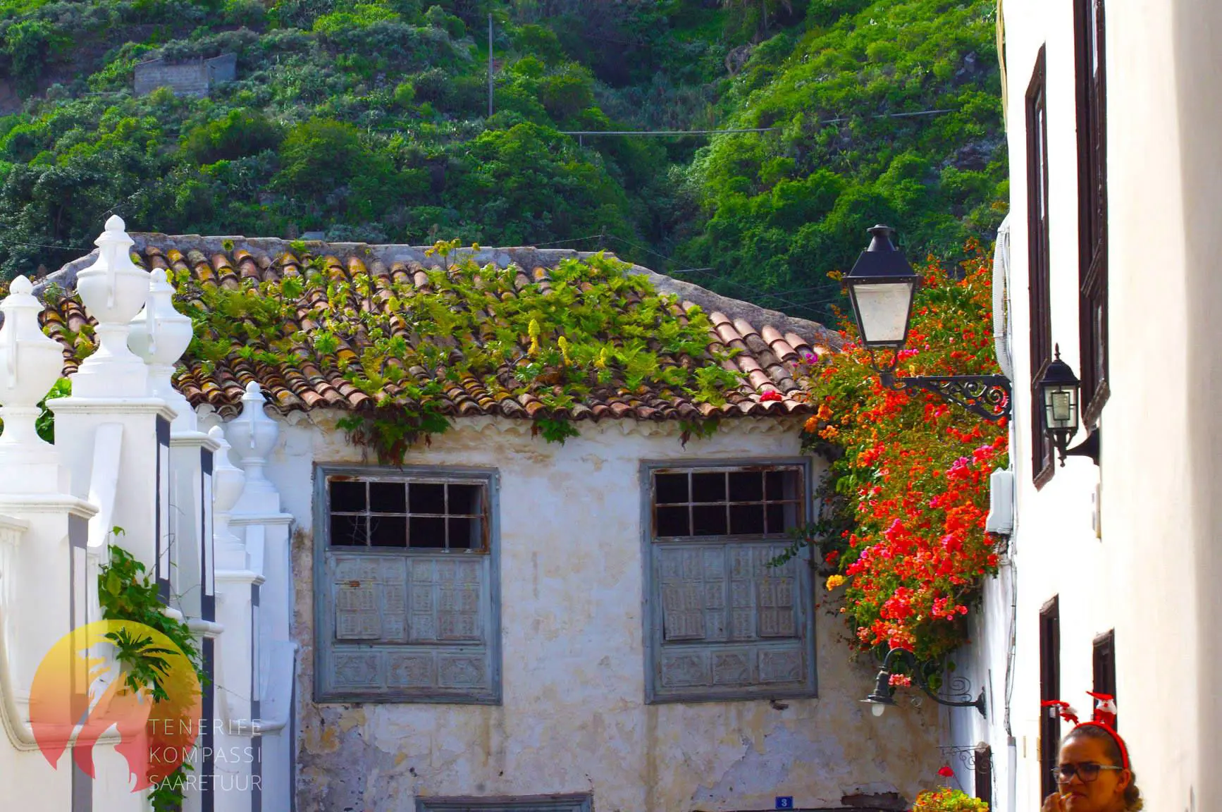 LA OROTAVA – LINN JA ORG