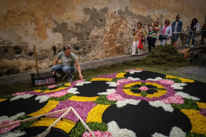 LA OROTAVA – LINN JA ORG