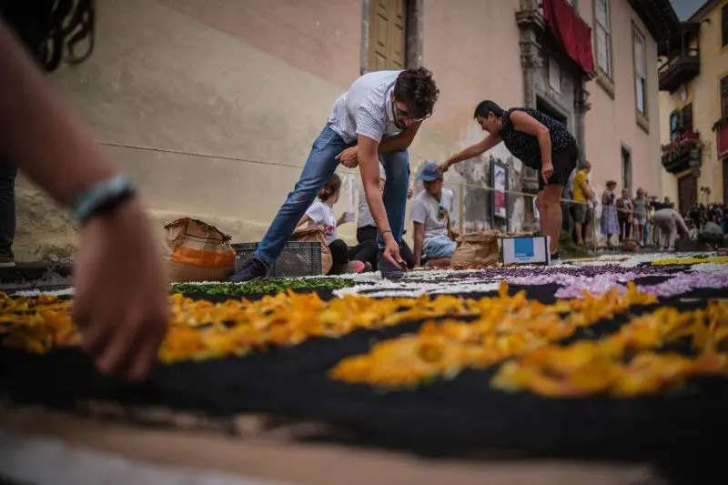 LA OROTAVA – LINN JA ORG