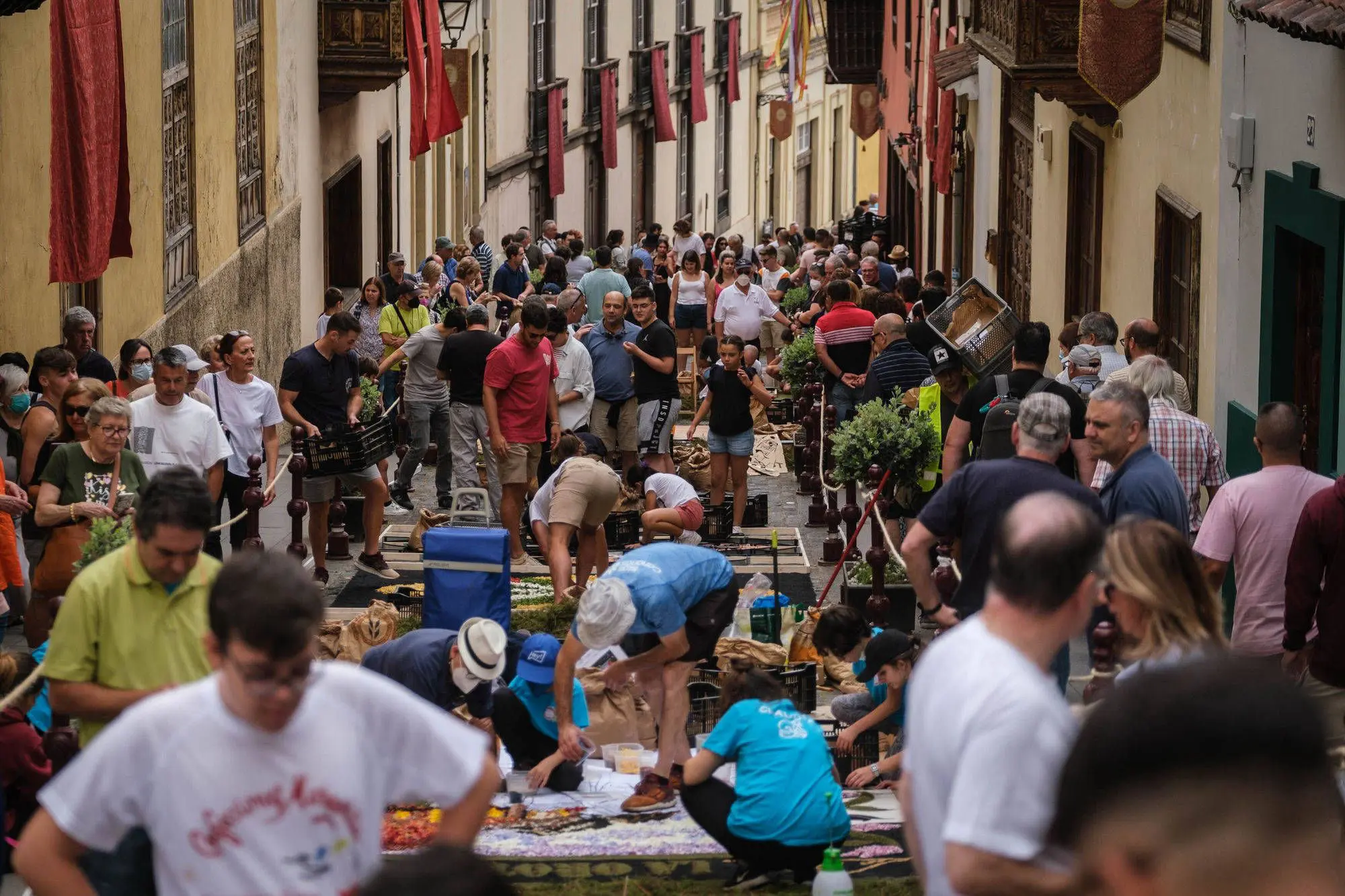 LA OROTAVA – LINN JA ORG