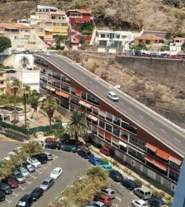 Los ficus santa cruz tenerife 1 3