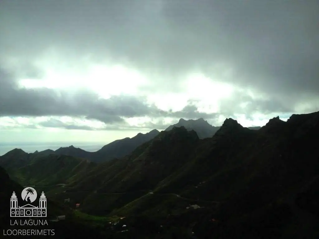 ANAGA JA TAGANANA – LOORBERIMETSAD