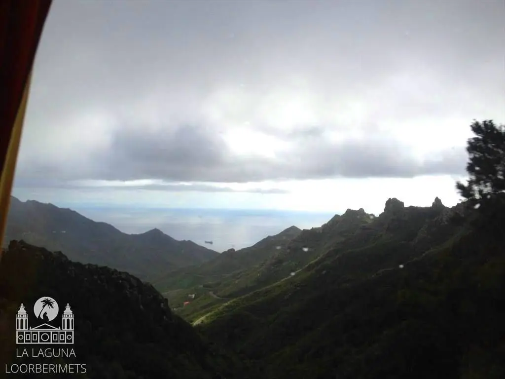 ANAGA JA TAGANANA – LOORBERIMETSAD