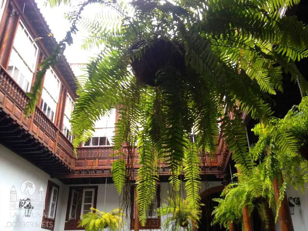 ANAGA JA TAGANANA – LOORBERIMETSAD