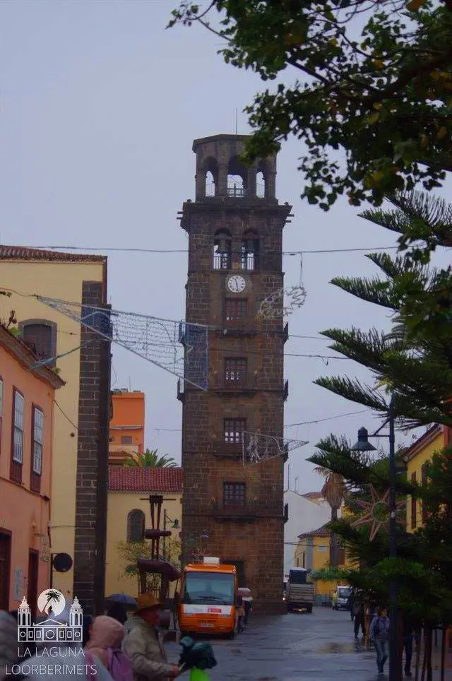 ANAGA JA TAGANANA – LOORBERIMETSAD