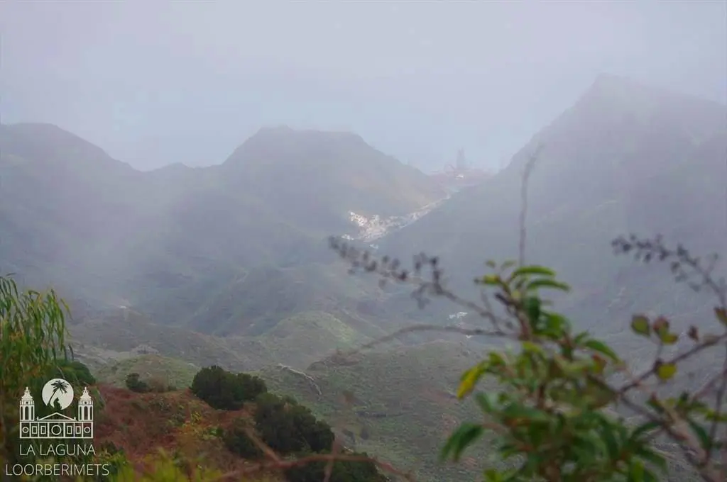 ANAGA JA TAGANANA – LOORBERIMETSAD