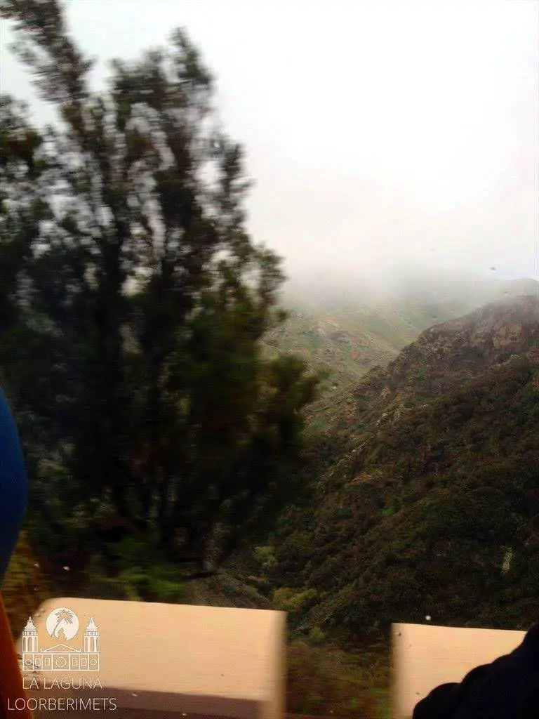 ANAGA JA TAGANANA – LOORBERIMETSAD