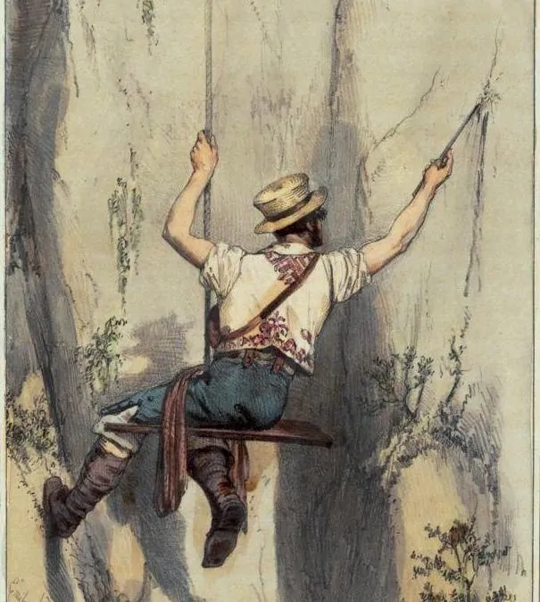 ORCHILLA ehk Kanaari purpur