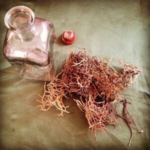 Orchilla ehk Kanaari purpur