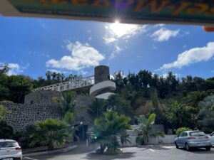 Palmetum Santa Cruzis