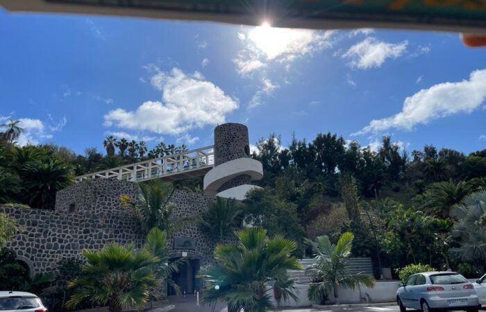 Palmetum Santa Cruzis