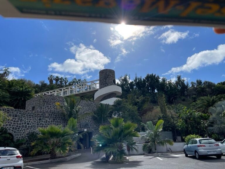 Palmetum Santa Cruzis