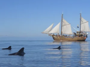 Vaalavaatlus piraadilaeval 3 tundi algusega Los Gigantesest