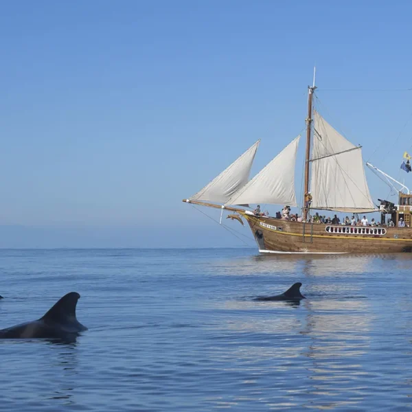 Vaalavaatlus piraadilaeval 3 tundi algusega Los Gigantesest