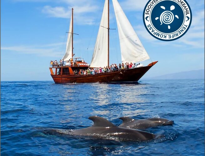 Vaalavaatlus piraadilaevaga 5 h Los Gigantesesse ja tagasi