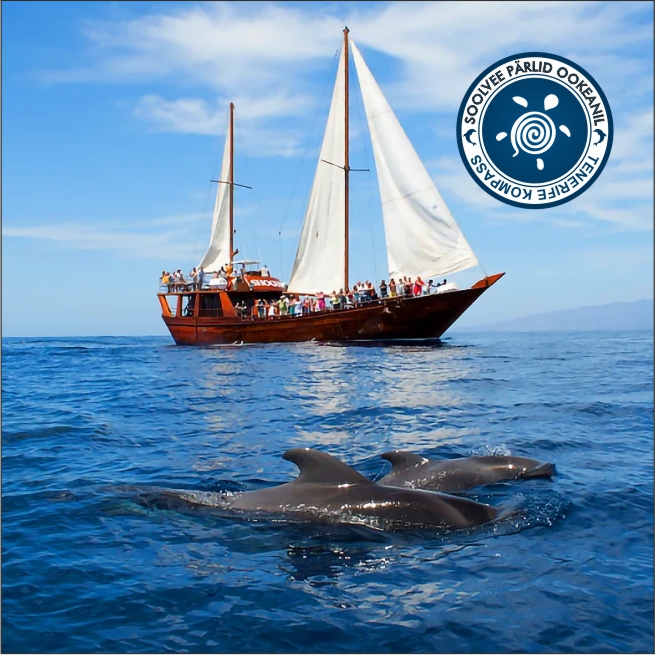 Vaalavaatlus piraadilaevaga 5 h Los Gigantesesse ja tagasi