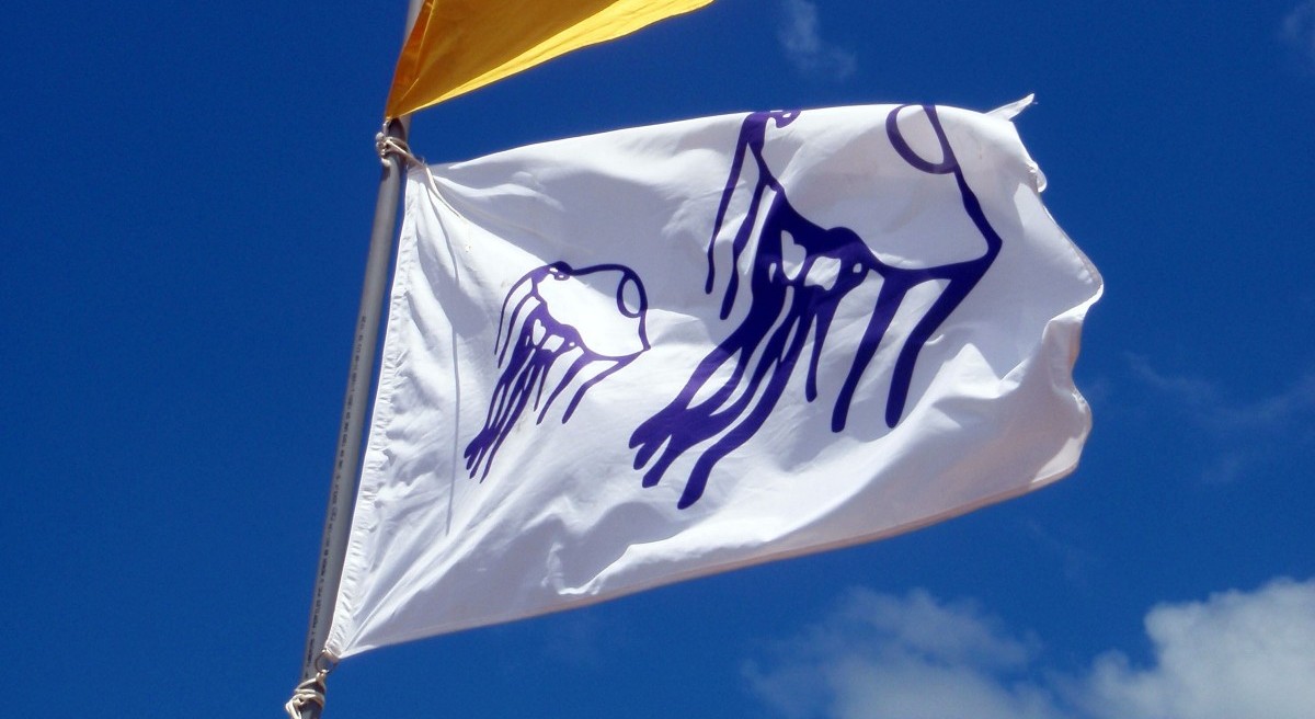 PORTUGALI SÕJALAEV | OHTLIKUD MEDUUSID