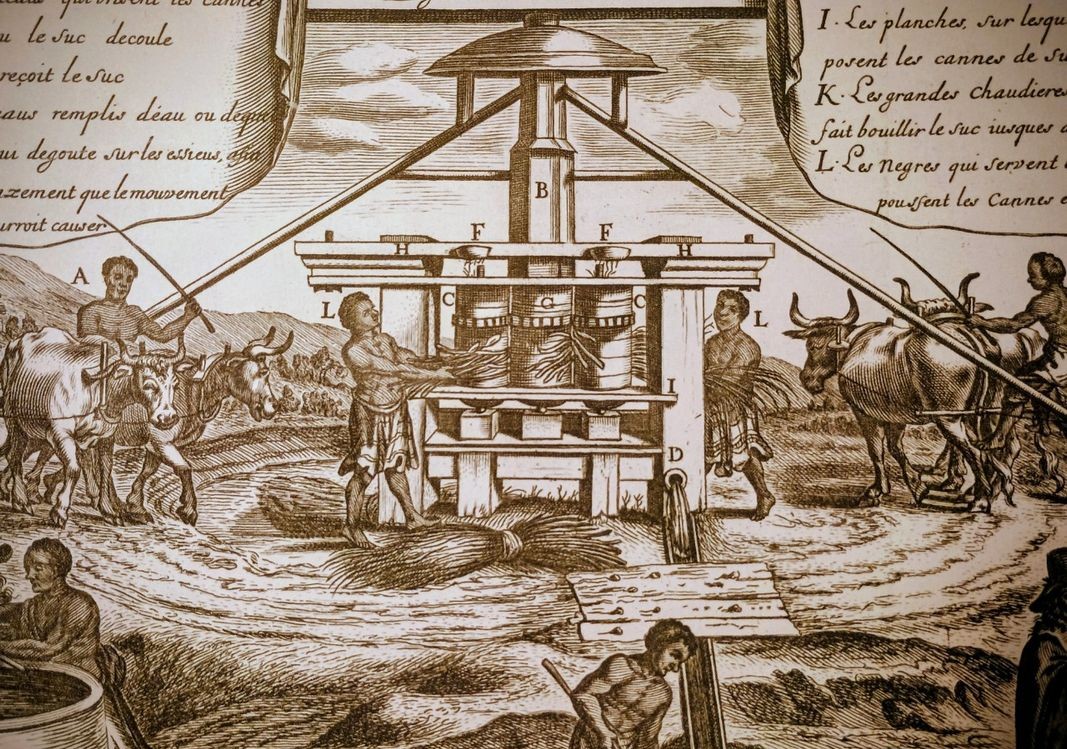 Suhkrusiirupi valmistamine, rummi ja meerummi tootmine kanaari saartel Arehucas