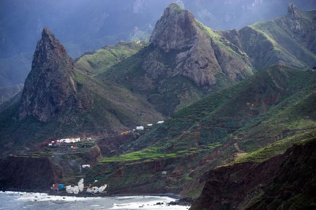 ANAGA JA TAGANANA – LOORBERIMETSAD