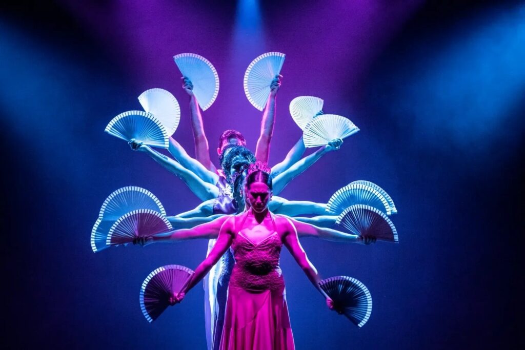 Tenerife flamenco ole 7