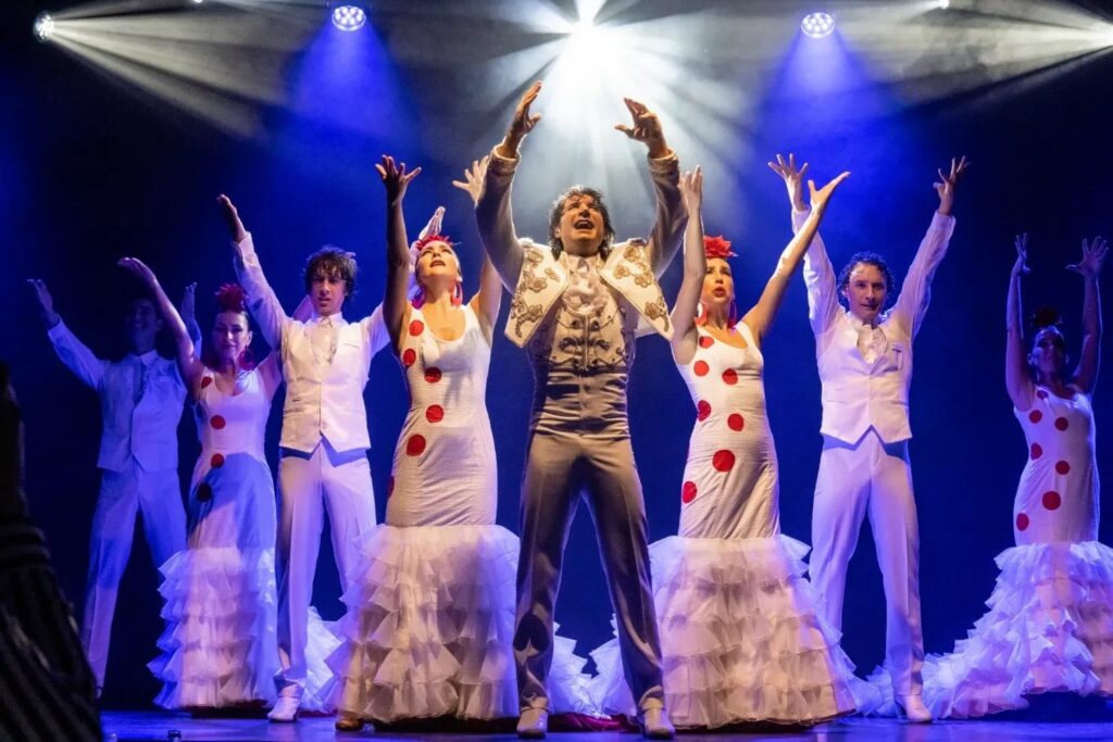 Tenerife flamenco ole 8
