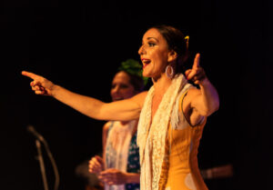 Tenerife flamenco show Pasion San Miguel