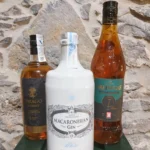 Tenerife joogid 1536x 2048 1