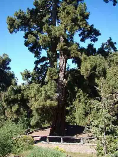 VILAFLOR – KÜLA JA KUUMAASTIK