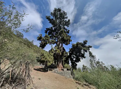 VILAFLOR – KÜLA JA KUUMAASTIK