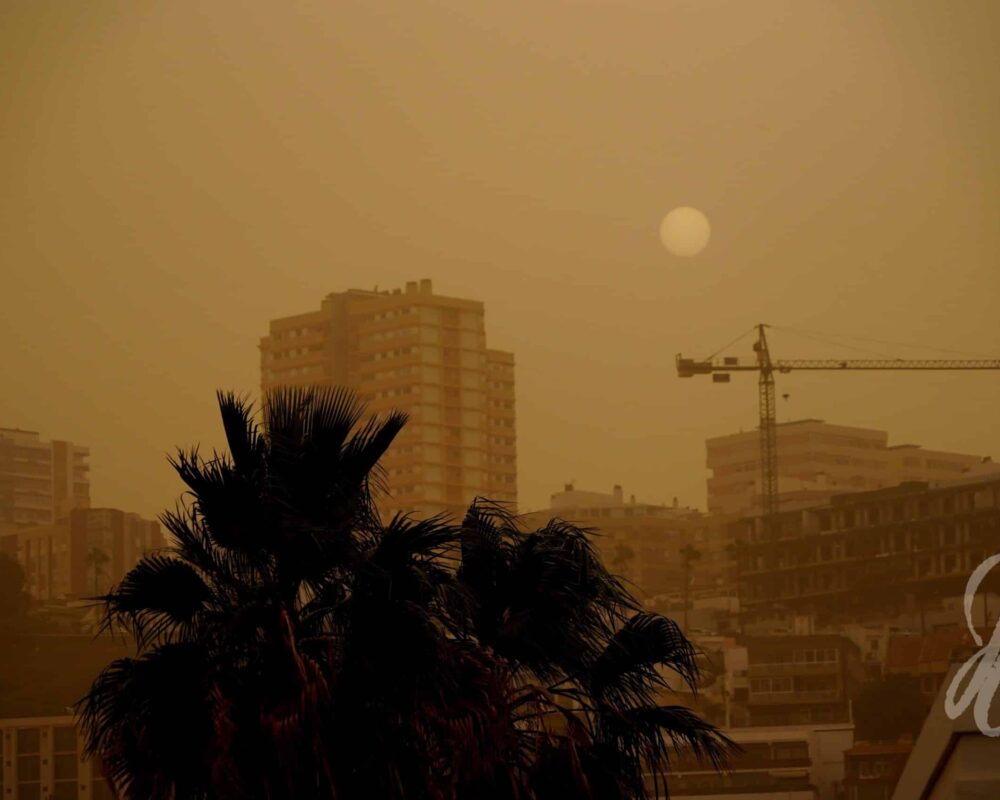 Ilm Tenerife saarel, päikeseline ja soe, sobib ideaalselt puhkuseks ja välitegevusteks.
