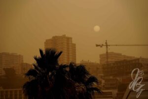 Ilm Tenerife saarel, päikeseline ja soe, sobib ideaalselt puhkuseks ja välitegevusteks.