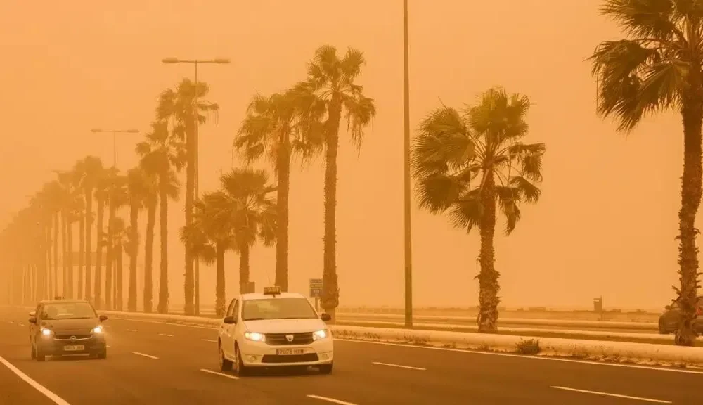 Palmiad ja päikeseline ilm Tenerifel, ideaalne puhkuseks.