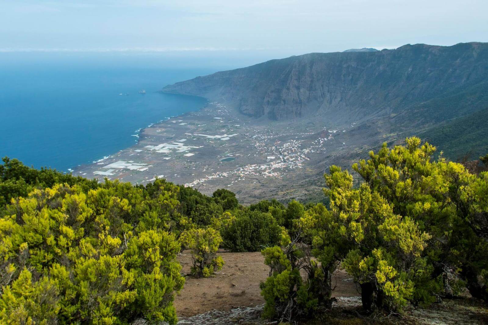 KANAARID | KANAARI SAARED