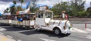 EW105 Eesti Vabariigi sünnipäeva tähistamine Tenerifel 2023