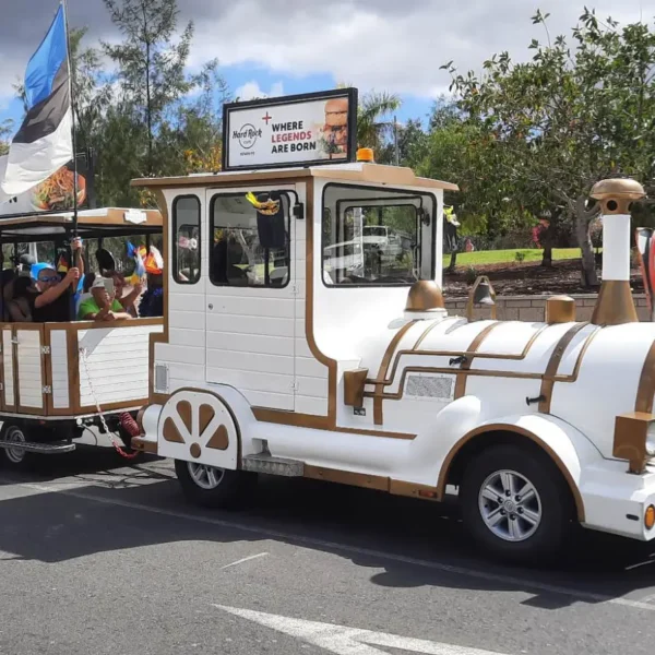 EW105 Eesti Vabariigi sünnipäeva tähistamine Tenerifel 2023