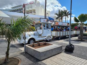 eesti vabariigi sunnipaeva tahistamine tenerifel 2023 48