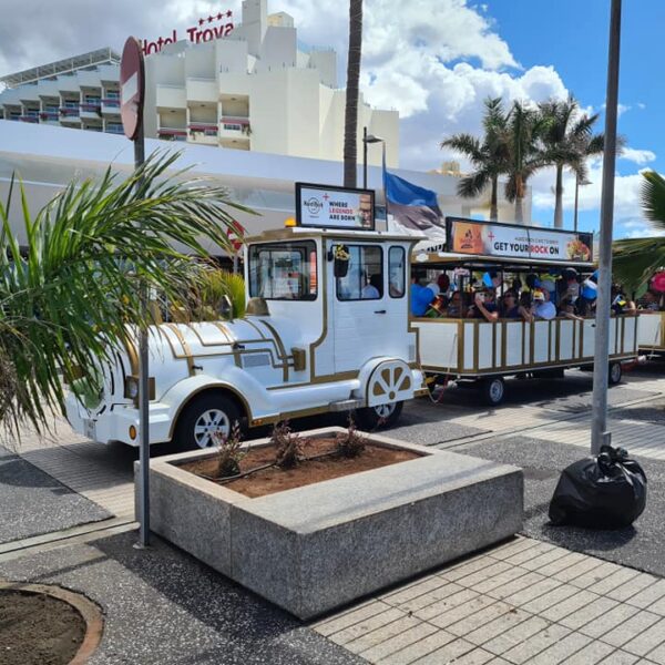 eesti vabariigi sunnipaeva tahistamine tenerifel 2023 48