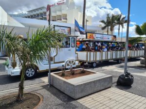 eesti vabariigi sunnipaeva tahistamine tenerifel 2023 51