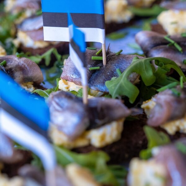 tenerife eesti vabariigi sunnipaeva tahistamine 2026 24