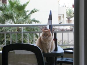 Eesti Wabariigi sünnipäevade tähistamine Tenerifel, aasta 2010