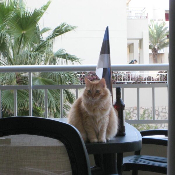 Eesti Wabariigi sünnipäevade tähistamine Tenerifel, aasta 2010