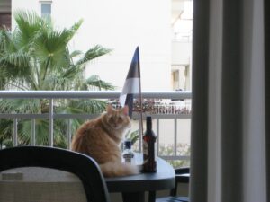 2010 eesti vabariigi sunnipaev tenerifel palm mar 14