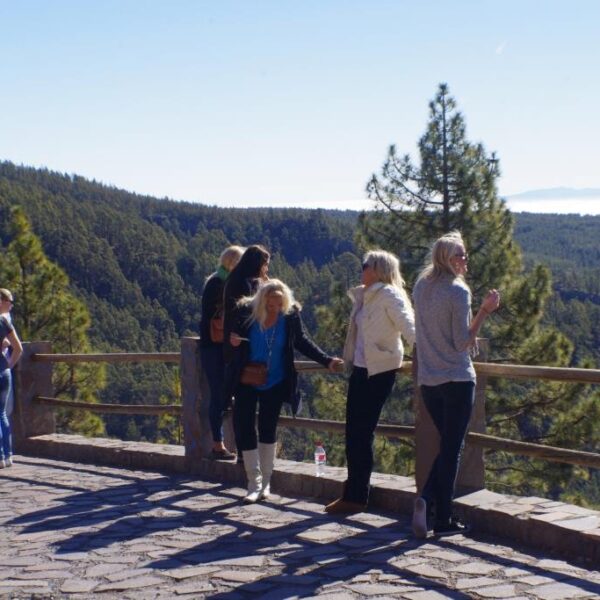 eesti vabariigi sunnipaeva tahistamine tenerifel 2013 129