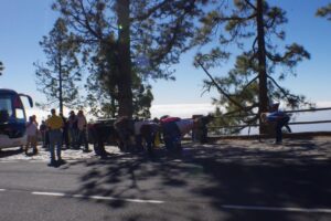 eesti vabariigi sunnipaeva tahistamine tenerifel 2013 137