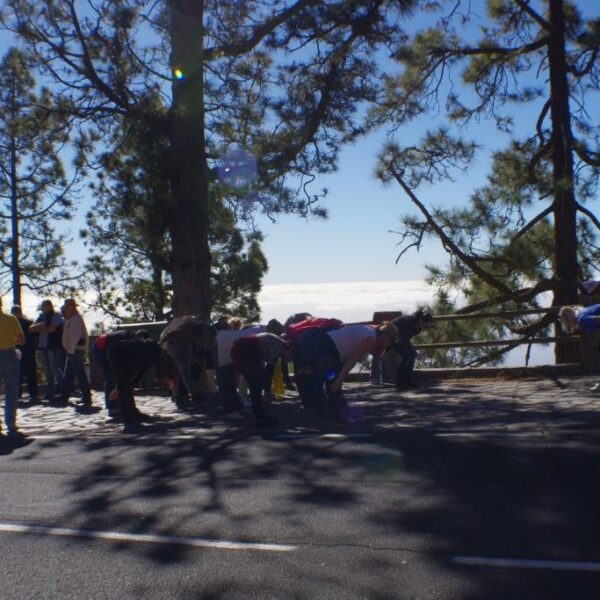 eesti vabariigi sunnipaeva tahistamine tenerifel 2013 137