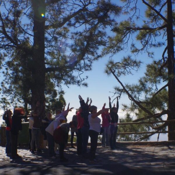 eesti vabariigi sunnipaeva tahistamine tenerifel 2013 138