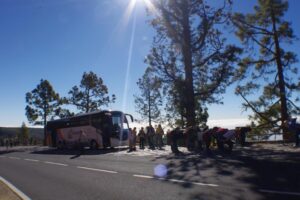 eesti vabariigi sunnipaeva tahistamine tenerifel 2013 142