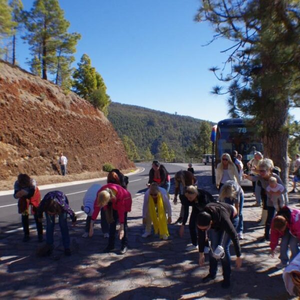 eesti vabariigi sunnipaeva tahistamine tenerifel 2013 146