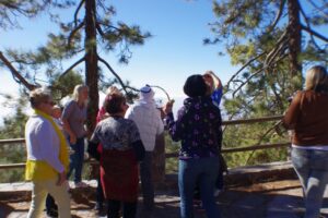 eesti vabariigi sunnipaeva tahistamine tenerifel 2013 152