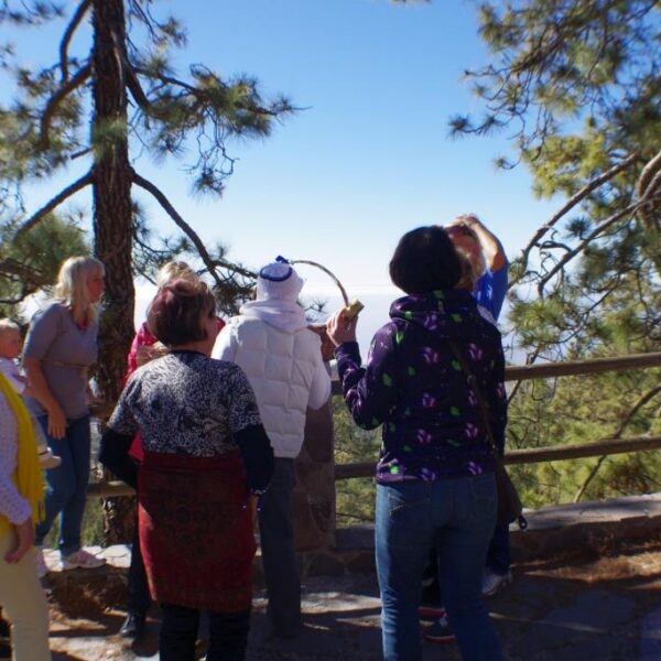eesti vabariigi sunnipaeva tahistamine tenerifel 2013 152